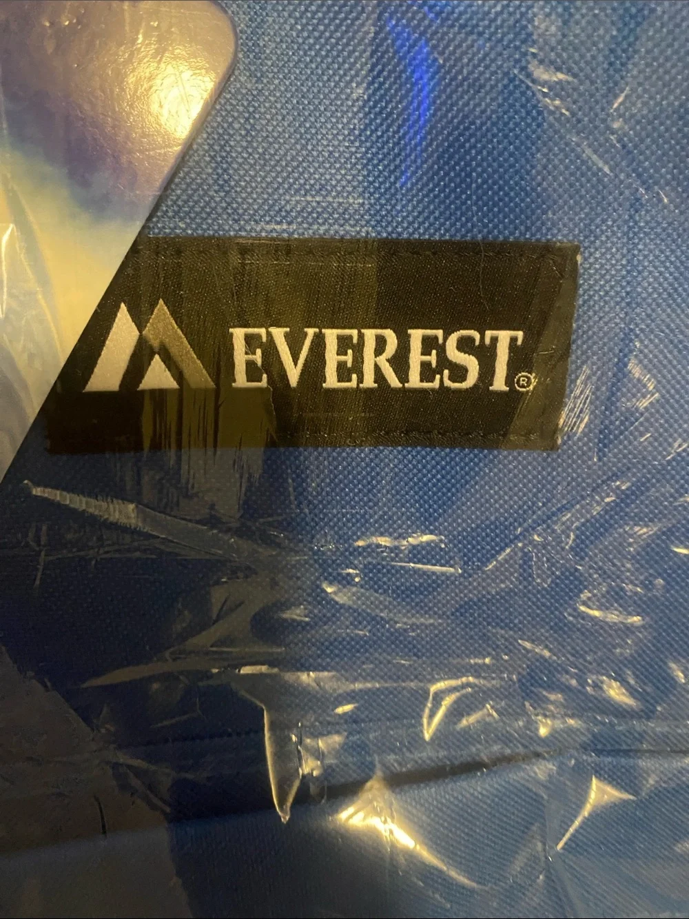 EVEREST Classic Blue Everyday Backpack for Men